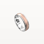 Facet Polished Edge Centre-Brushed Band - Eden & Co